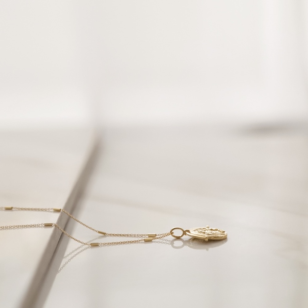 Greek Coin Necklace | 14k Gold Vermeil - Picture 6 of 8